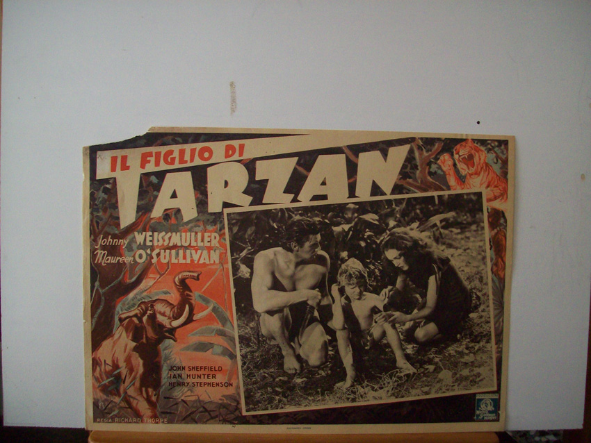 Il Figlio Di Tarzan Ficarra E Picone
