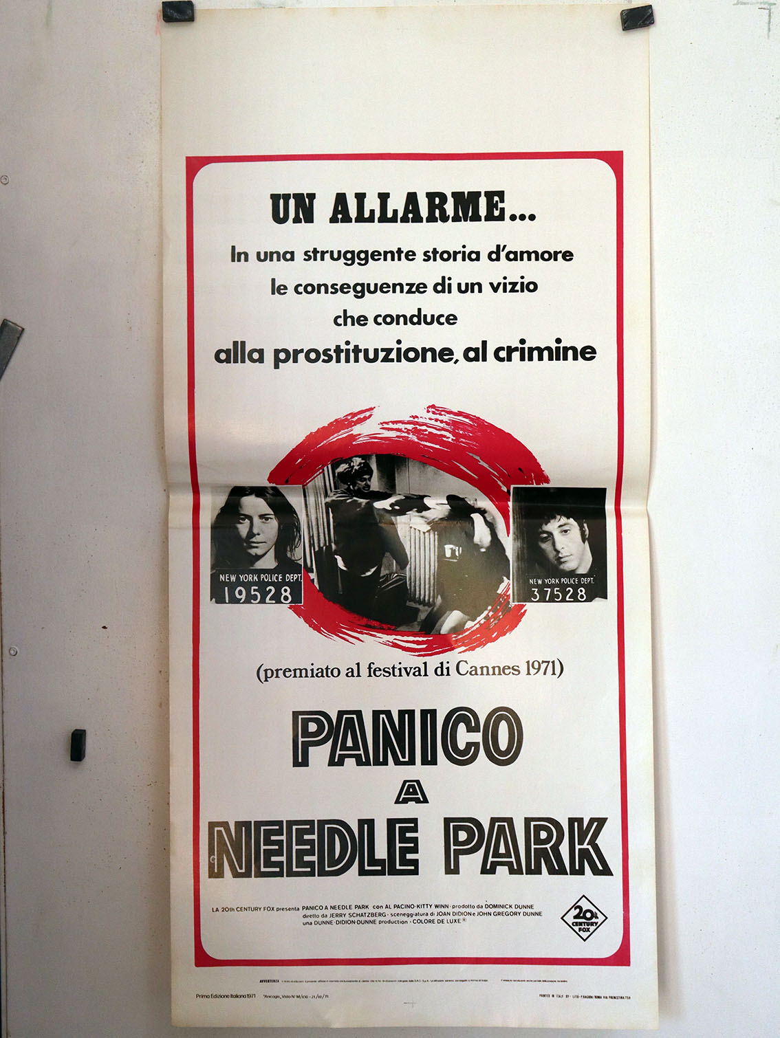 PANICO A NEEDLE PARK