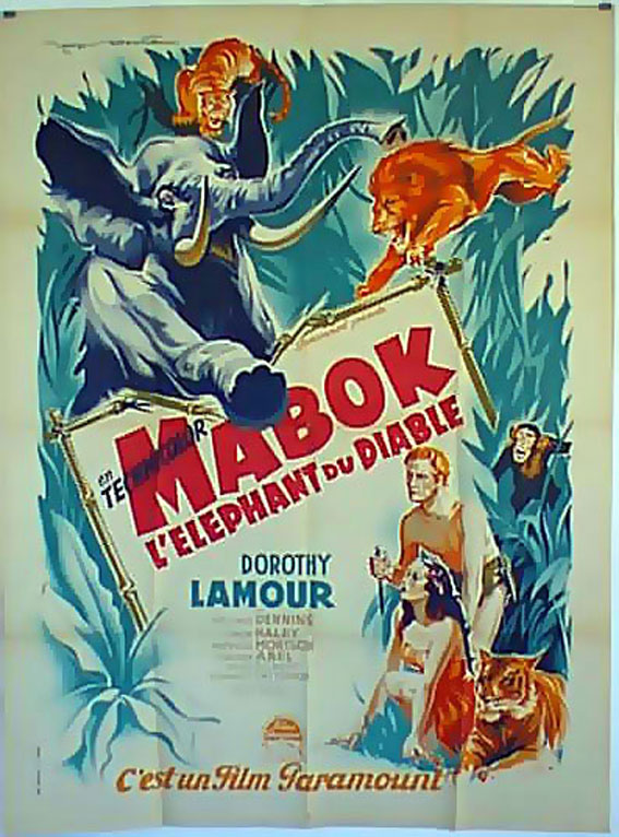 MABOK, L ELEPHANT DU DIABLE