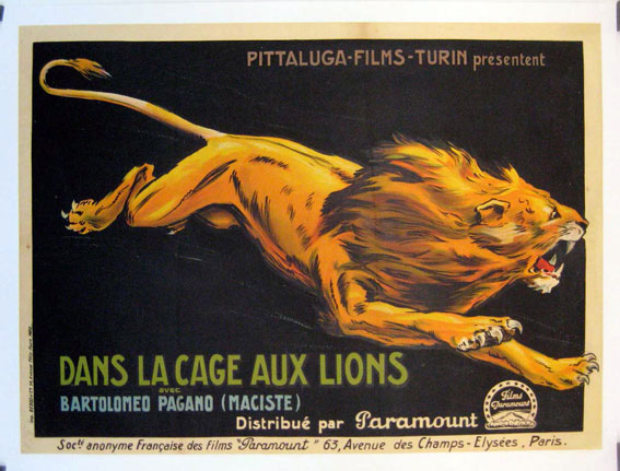 DANS LA CAGE AUX LIONS