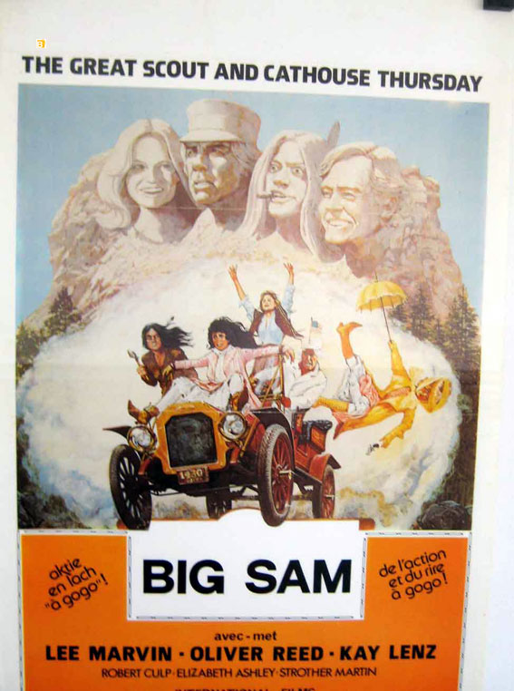 BIG SAM