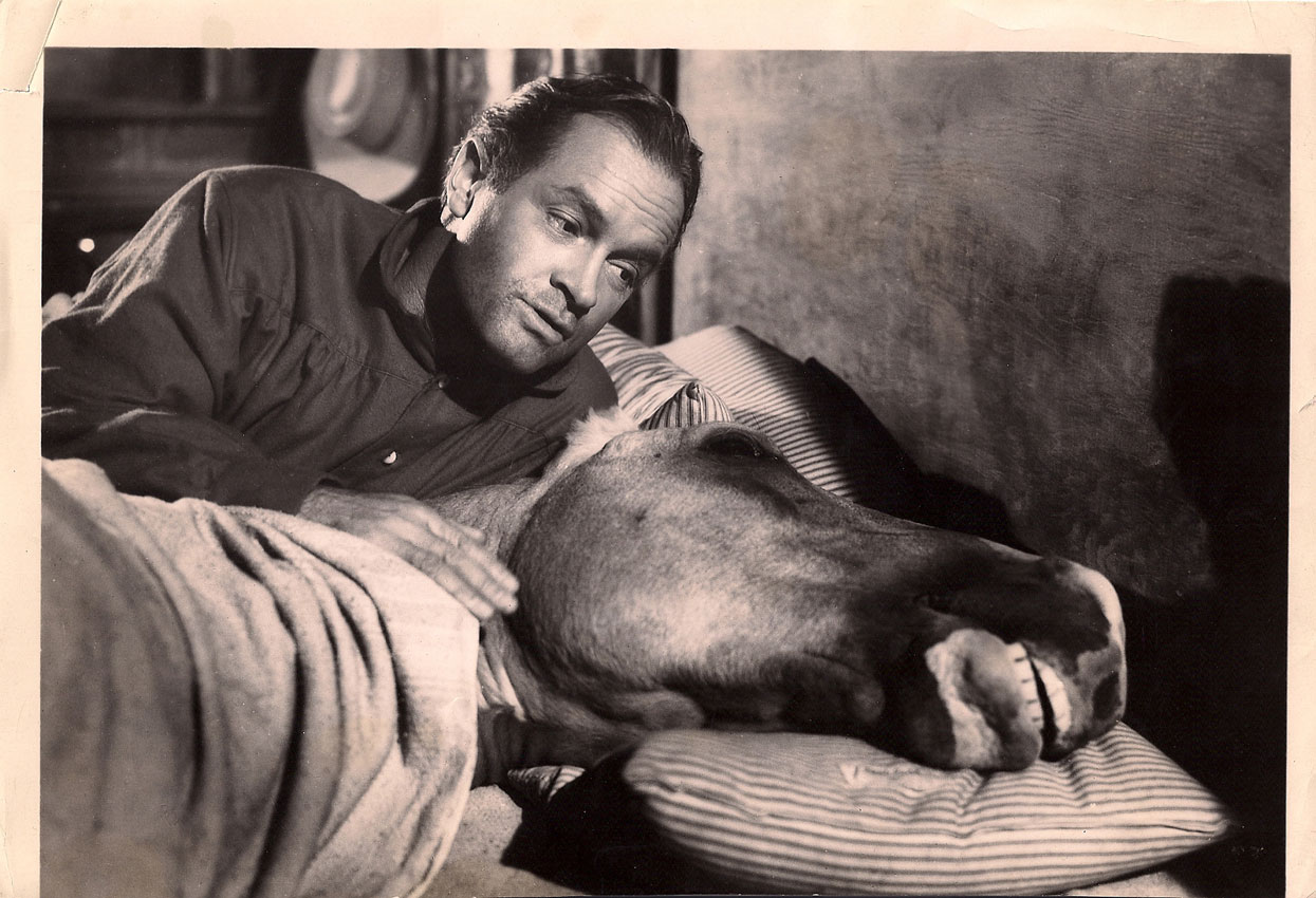BOB HOPE