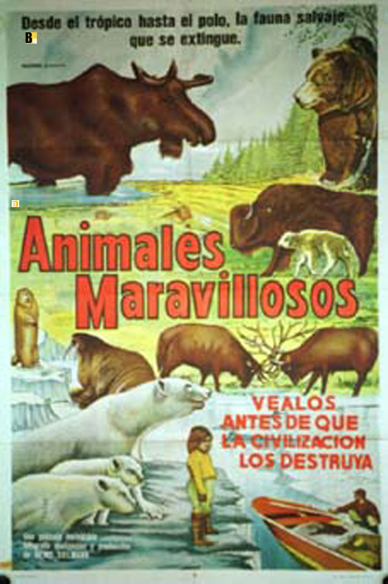 ANIMALES MARAVILLOSOS