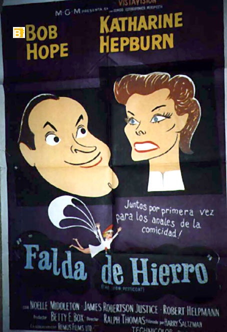 FALDA DE HIERRO