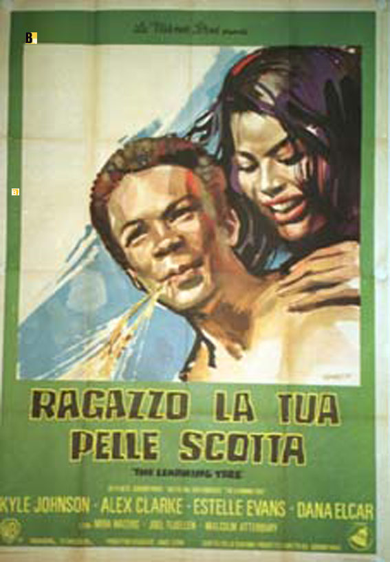 RAGAZZO LA TUA PELLE SCOTTA