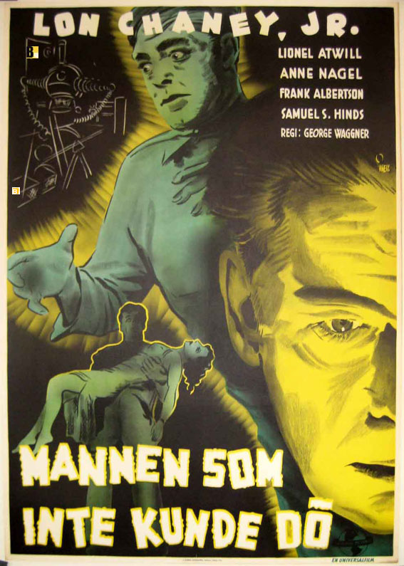 MANNEN SOM INTE KUNDE DO