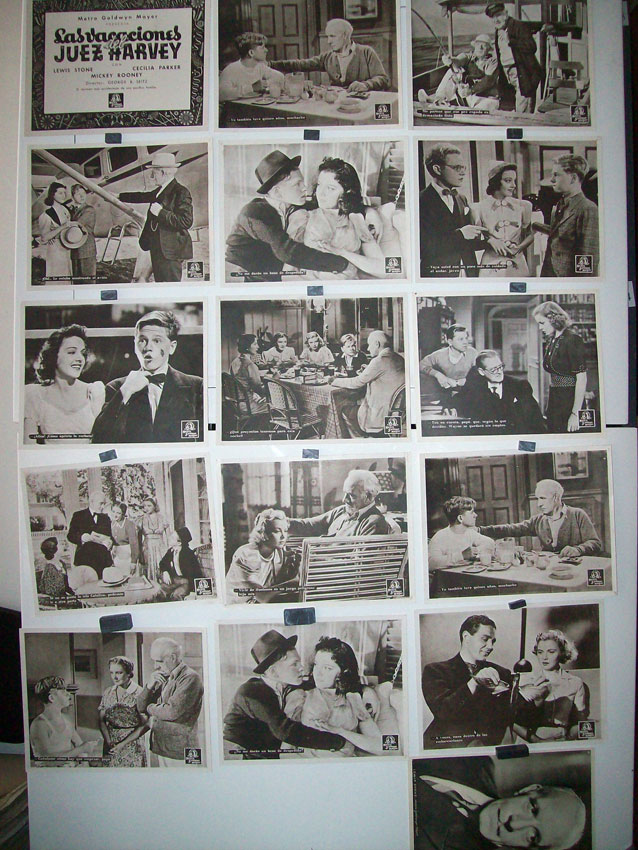 LAS VACACIONES DEL JUEZ HARVEY