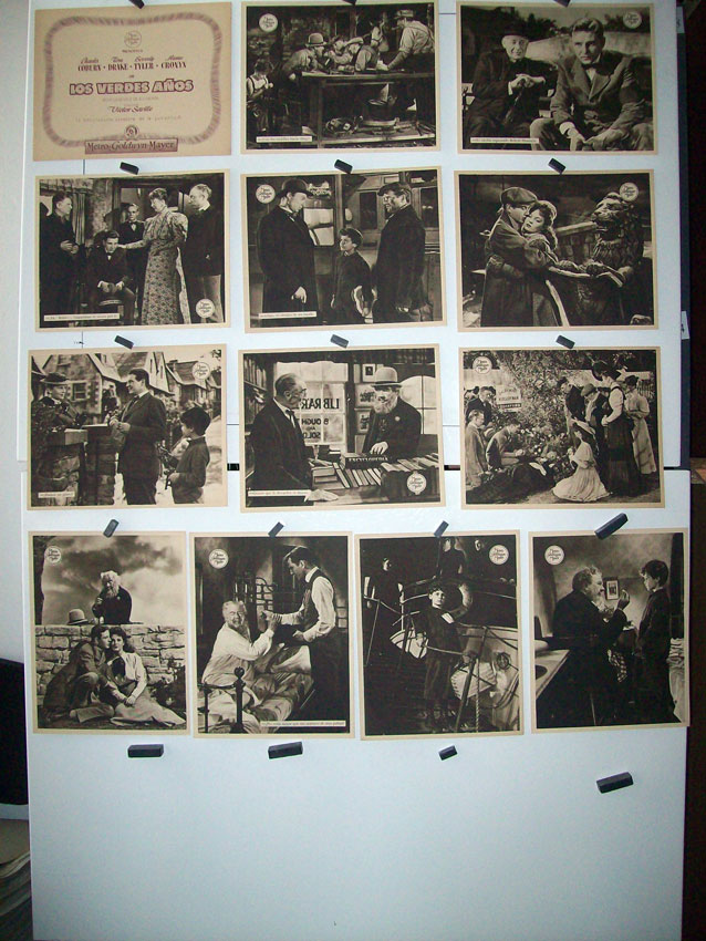 LOS VERDES AOS /SET 13