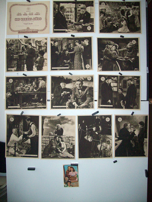 LOS VERDES AOS /SET 13