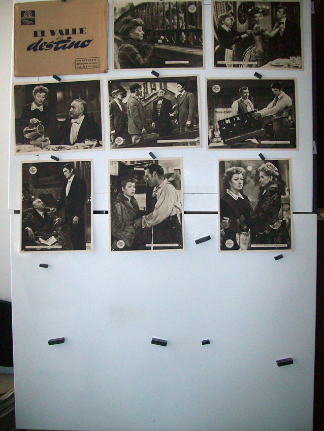 EL VALLE DEL DESTINO /SET 8