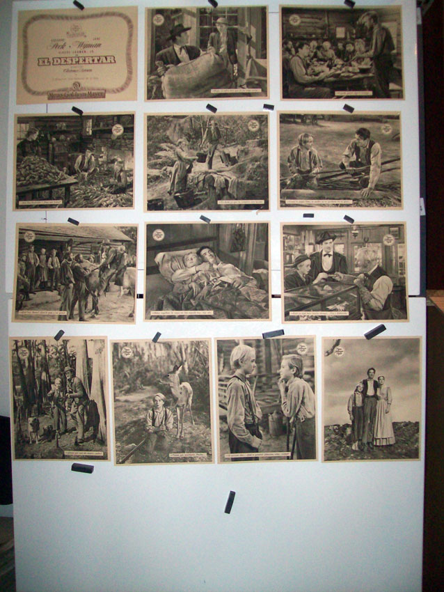 EL DESPERTAR /SET 13