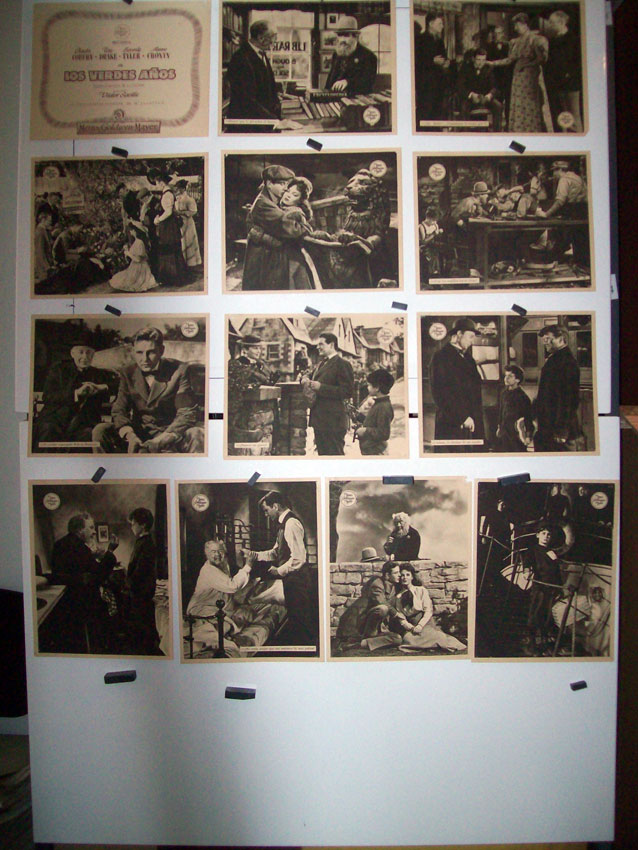 LOS VERDES AOS /SET 13