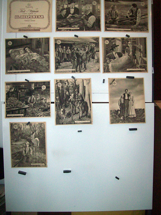 EL DESPERTAR /SET 10