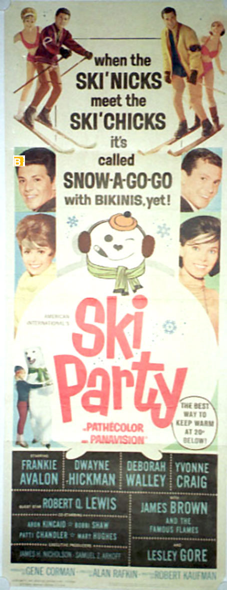SKI PARTY