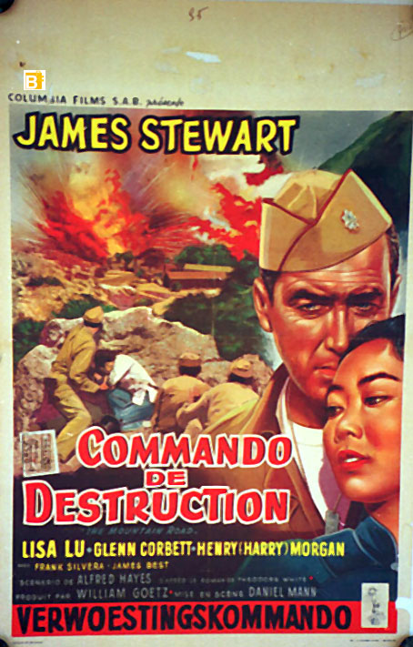 COMMANDO DE DESTRUCTION