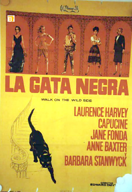 GATA NEGRA, LA