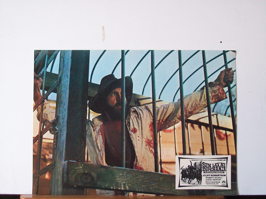 SIN LEY NI ESPERANZA