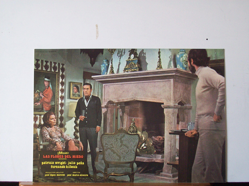 LAS FLORES DEL MIEDO