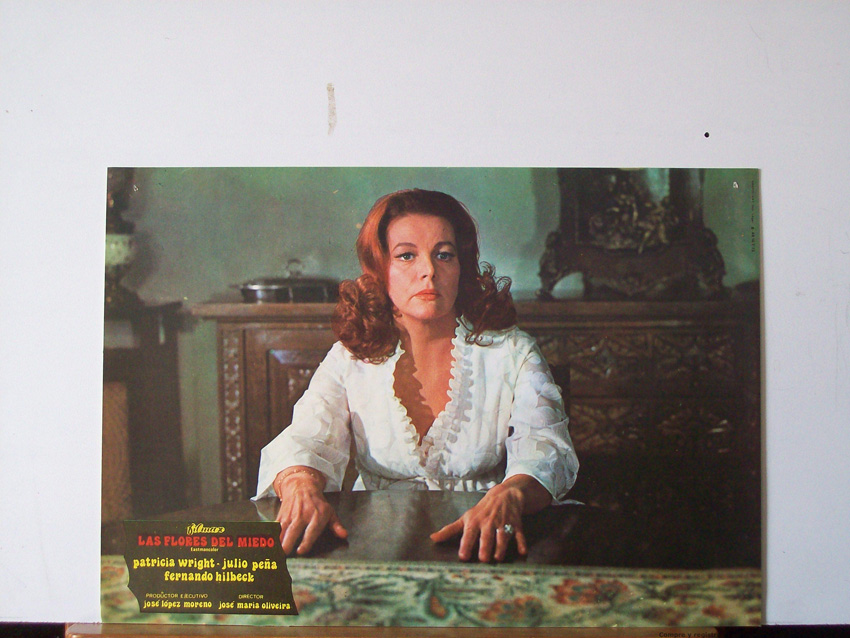 LAS FLORES DEL MIEDO