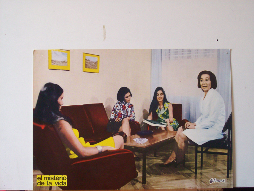 EL MISTERIO DE LA VIDA