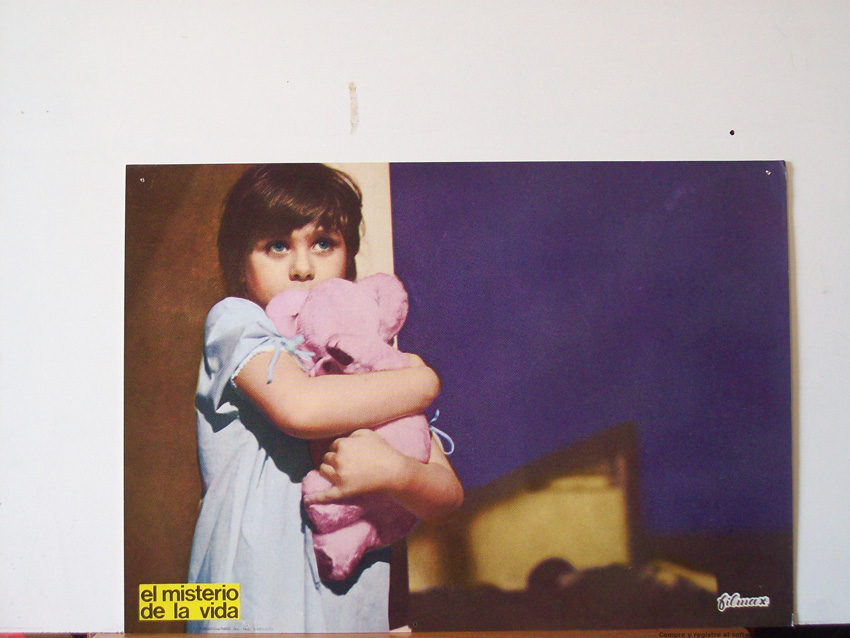 EL MISTERIO DE LA VIDA