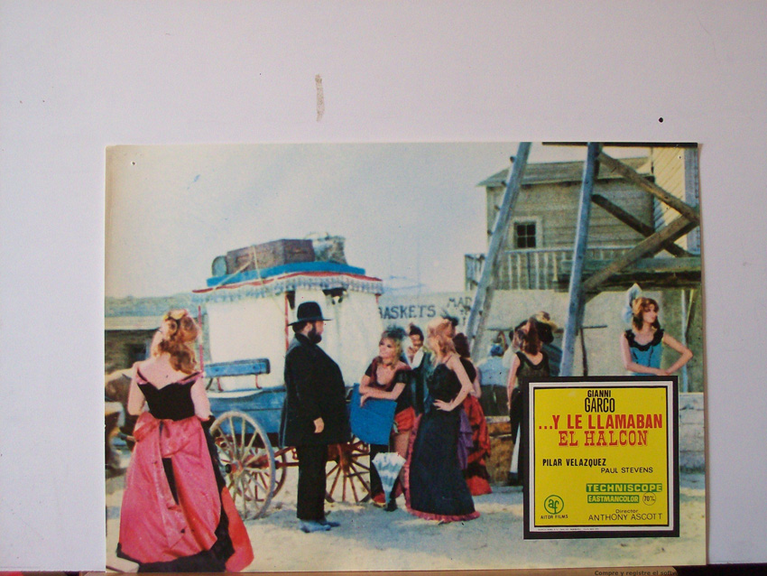 Y LE LLAMABAN EL HALCON