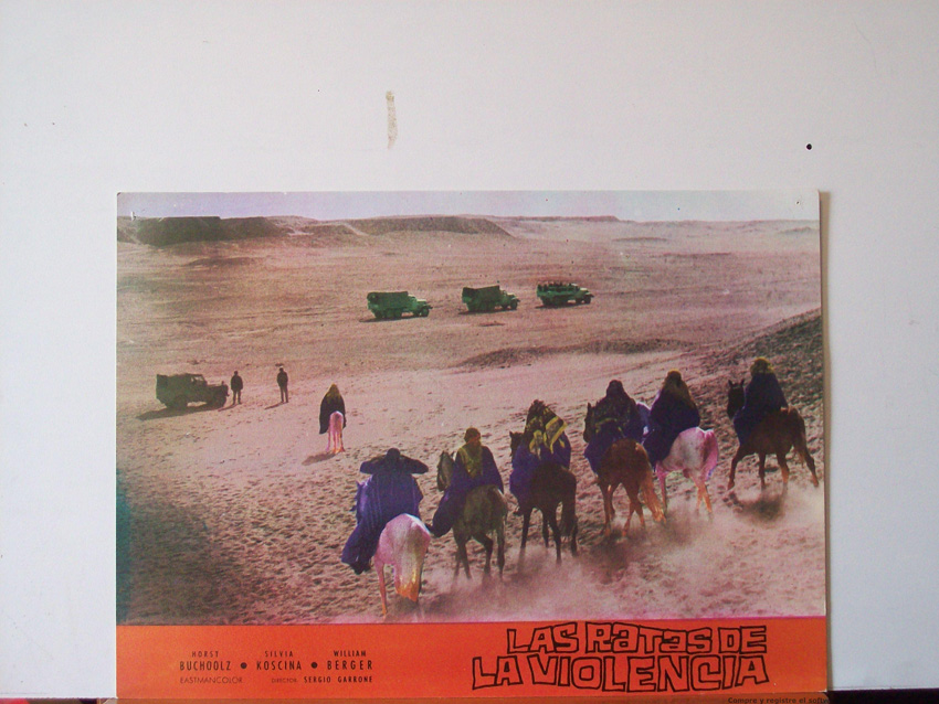 LAS RATAS DE LA VIOLENCIA