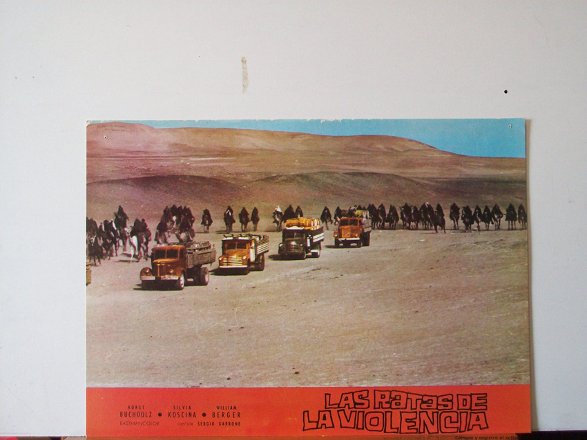 LAS RATAS DE LA VIOLENCIA