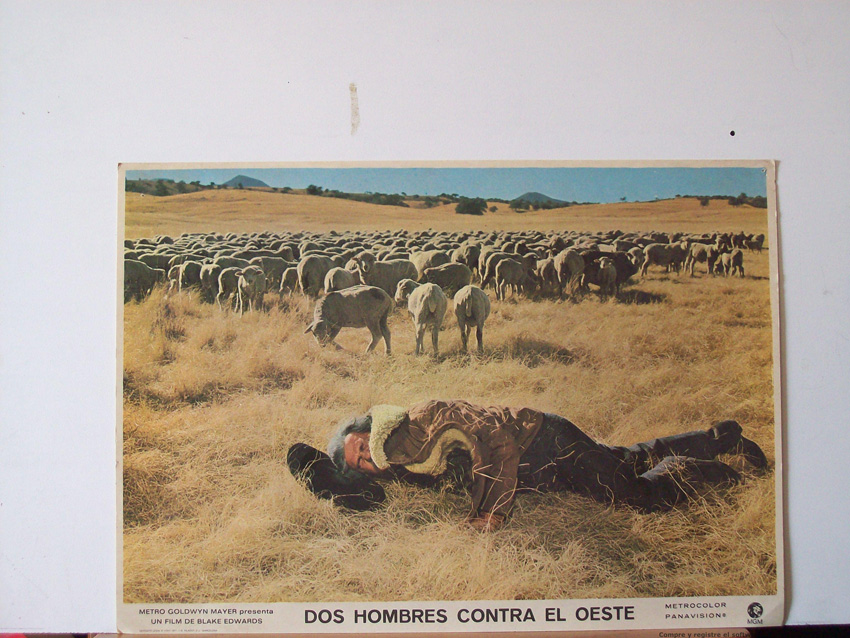 DOS HOMBRES CONTRA EL OESTE