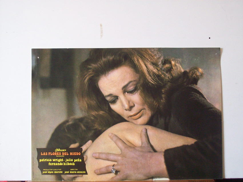 LAS FLORES DEL MIEDO