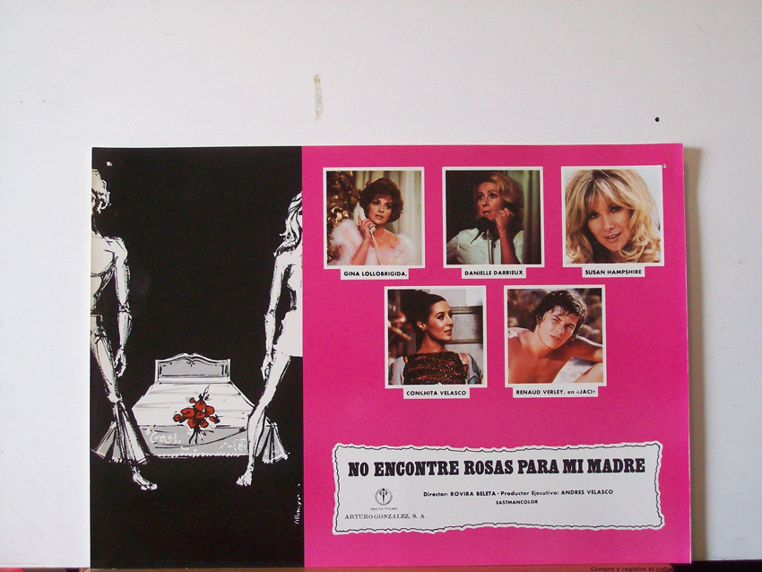 NO ENCONTRE ROSAS PARA MI MADRE