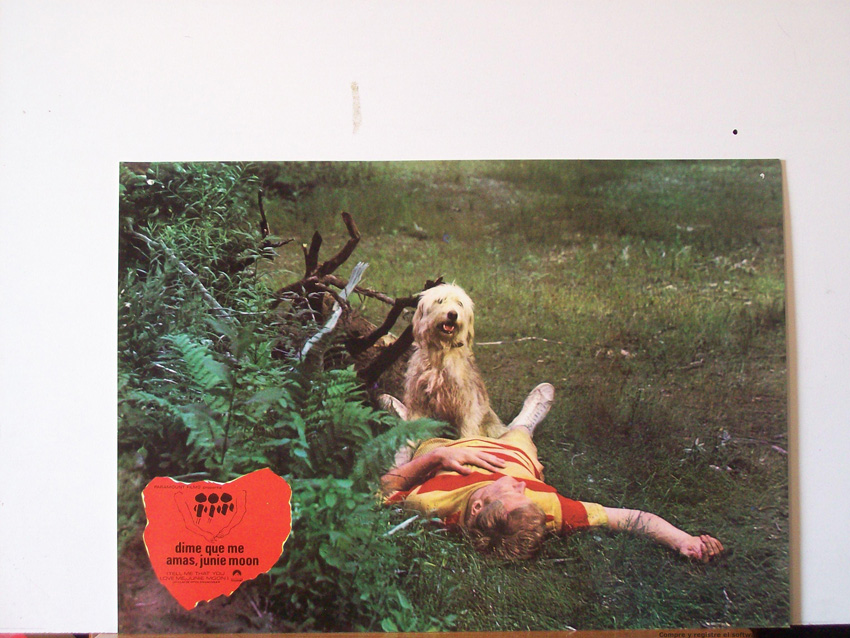 DIME QUE ME AMAS JUNIE MOON