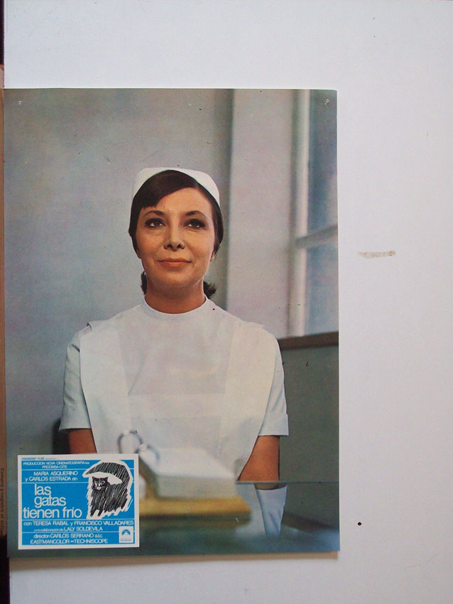 LAS GATAS TIENEN FRIO