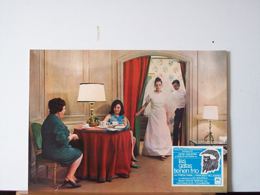 LAS GATAS TIENEN FRIO