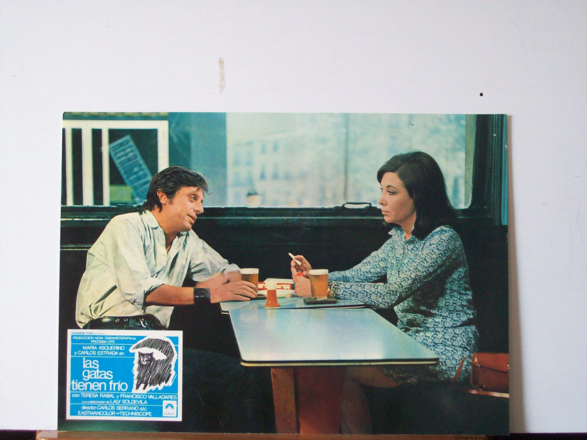 LAS GATAS TIENEN FRIO