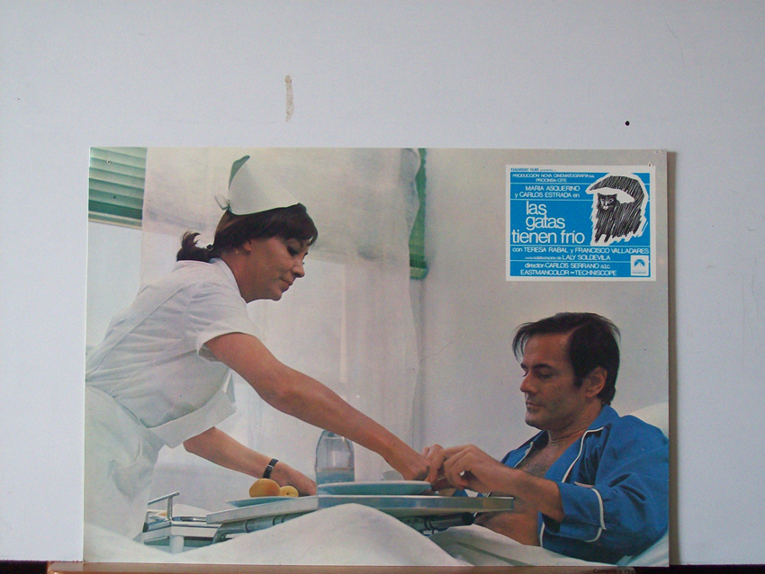 LAS GATAS TIENEN FRIO