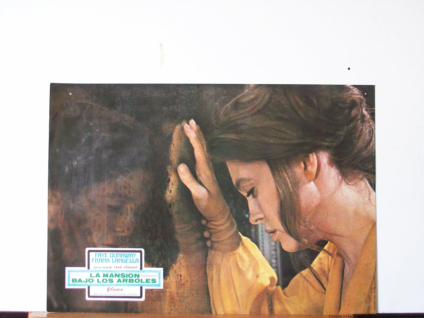 LA MANSION BAJO LOS ARBOLES