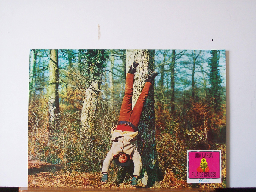 UNA LARGA FILA DE CRUCES