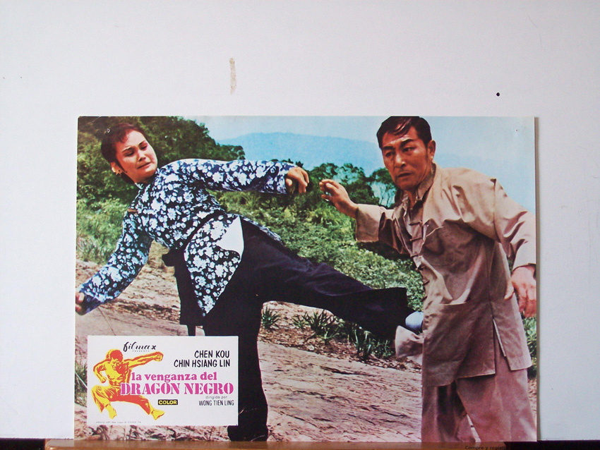 LA VENGANZA DEL DRAGON NEGRO