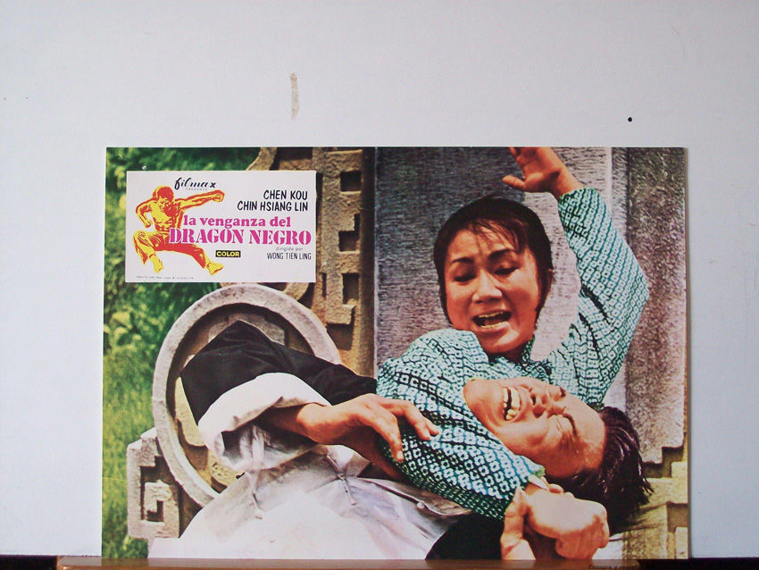 LA VENGANZA DEL DRAGON NEGRO