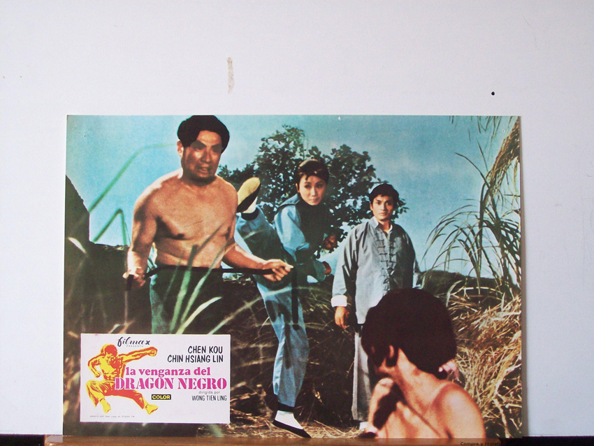 LA VENGANZA DEL DRAGON NEGRO