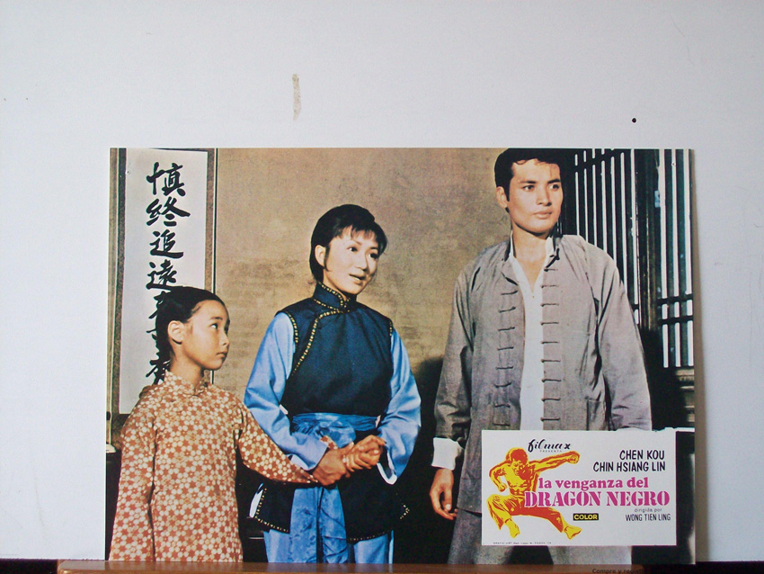 LA VENGANZA DEL DRAGON NEGRO