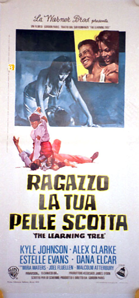 RAGAZZO LA TUA PELLE SCOTTA