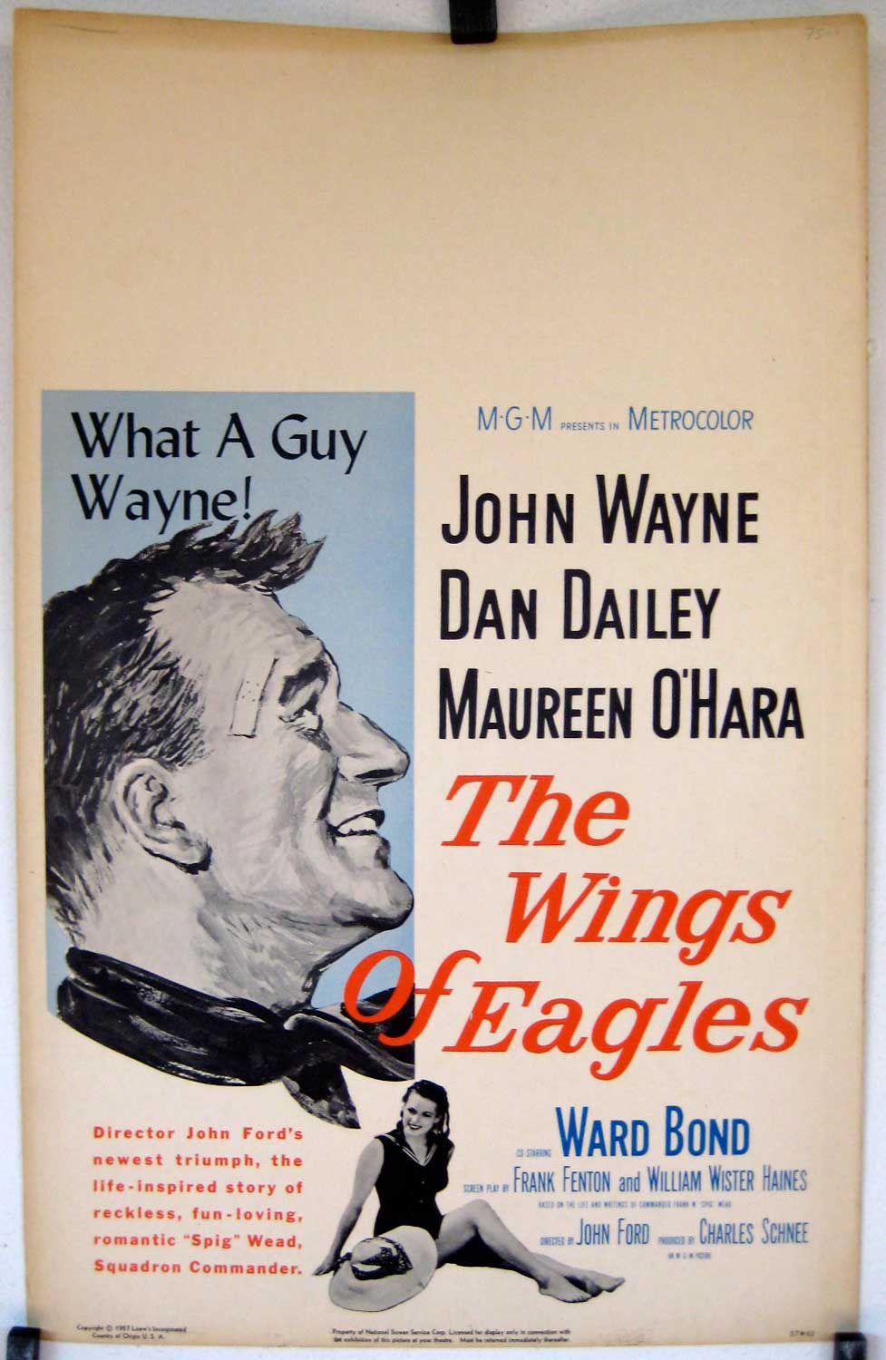 WINGS OF EAGLES, THE