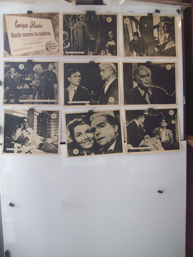 DONDE MUEREN LAS PALABRAS