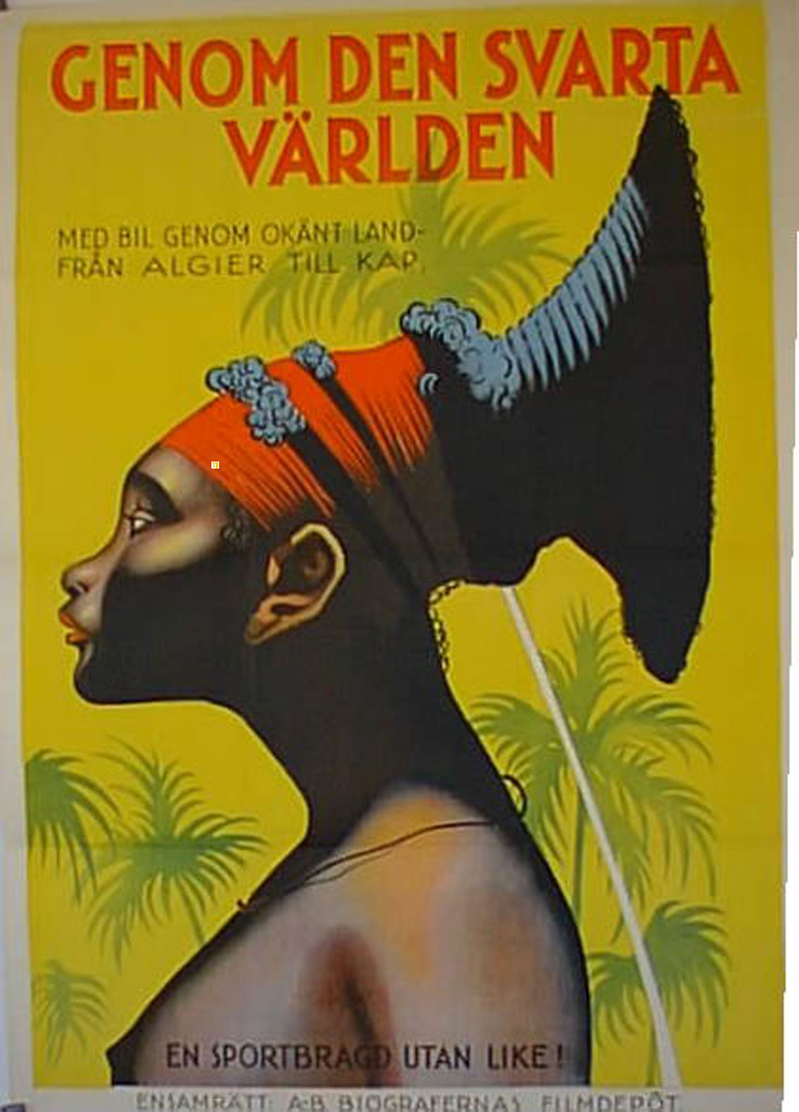 GENOM DEN SVARTA VARLDEN