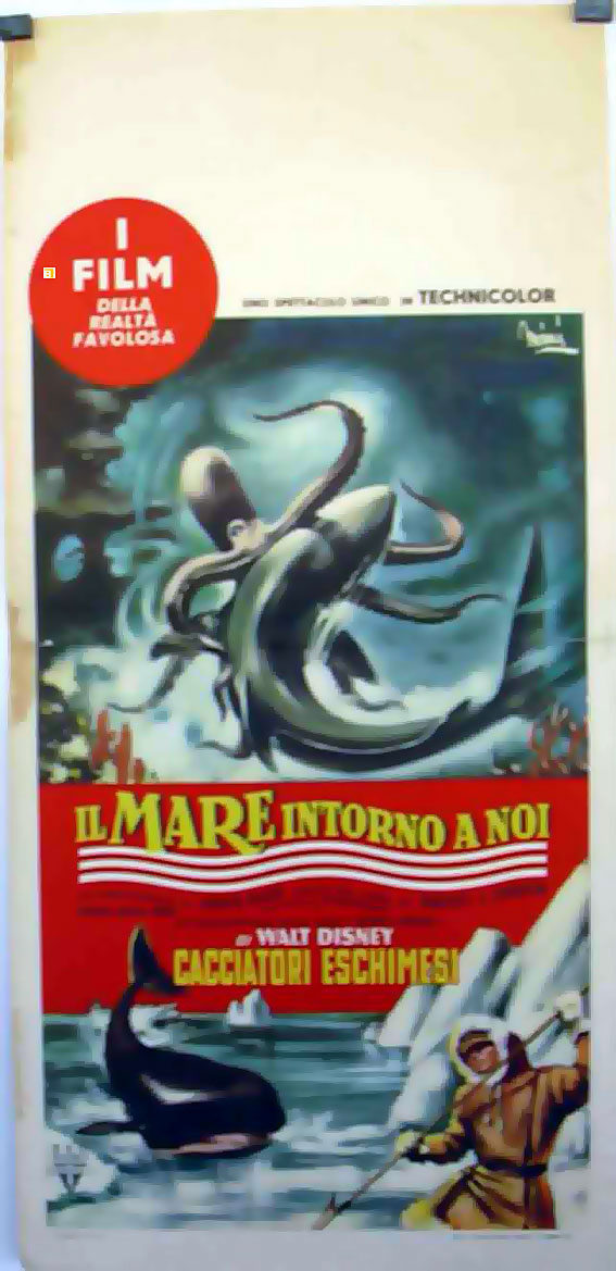 MARE INTORNO A NOI, IL