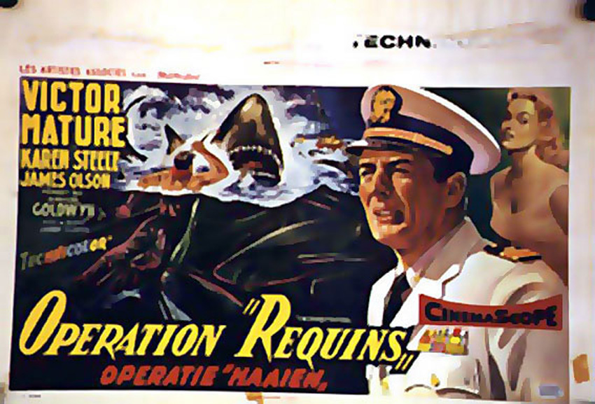 OPERATION REQUINS