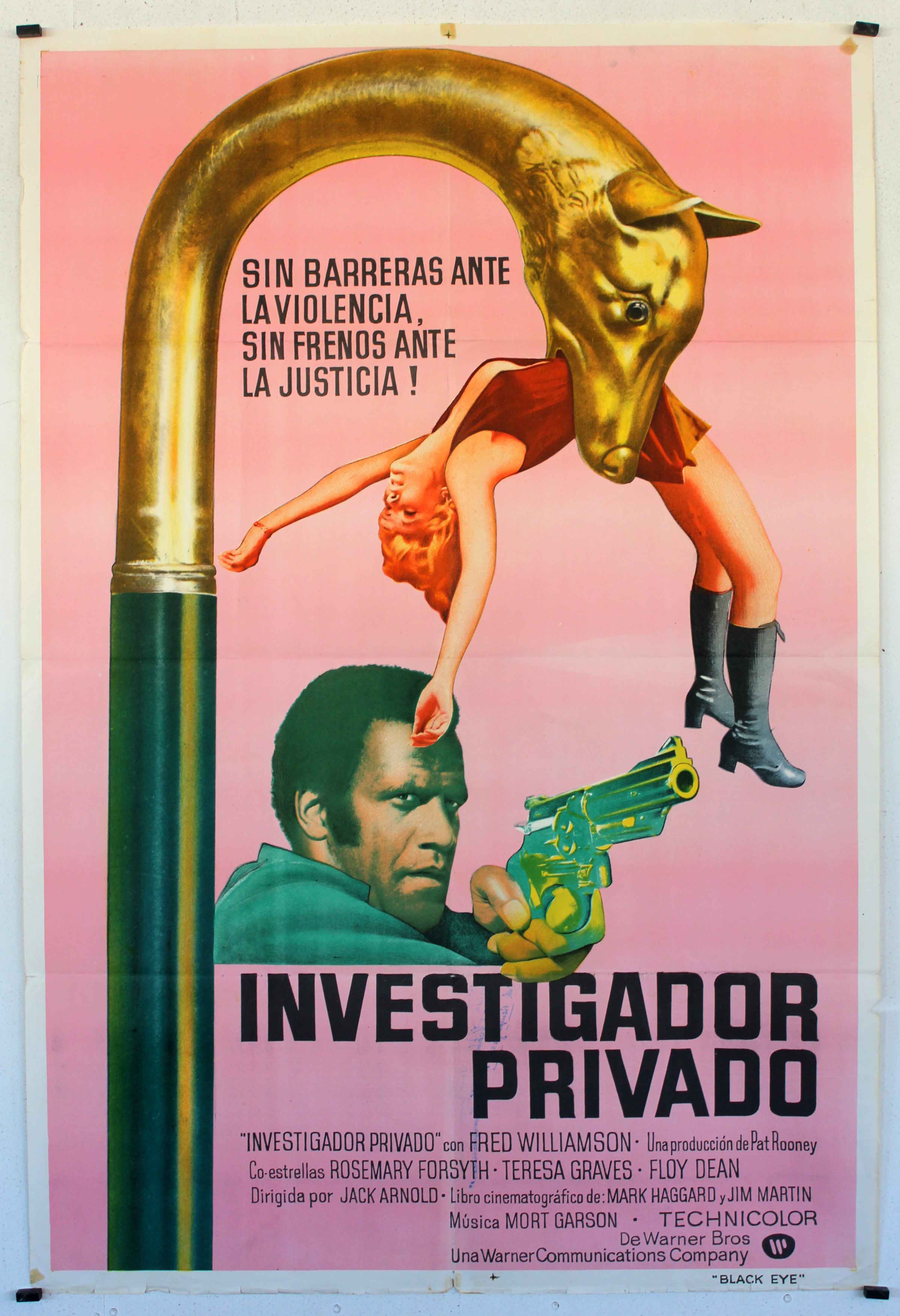 INVESTIGADOR PRIVADO