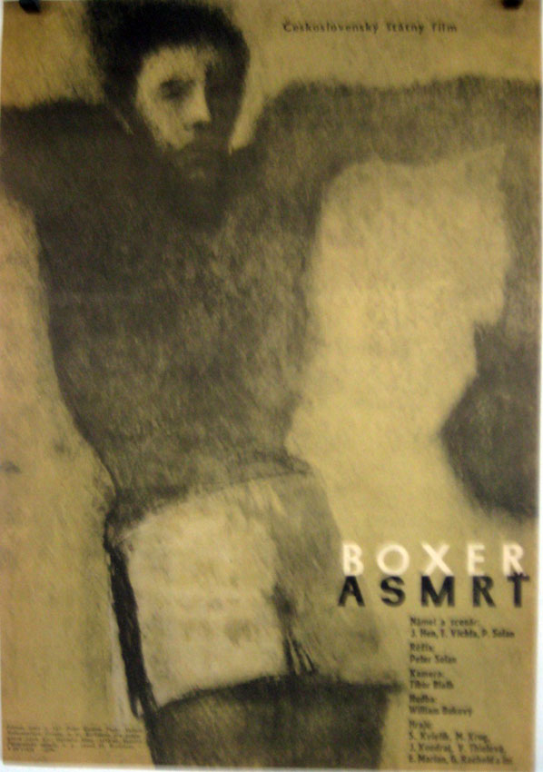 BOXER ASMRT
